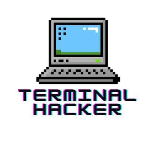 Terminal Hacker (itch) (Silent Coder)