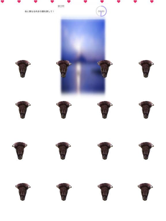 Animal Faces L/R Touch screenshot 4