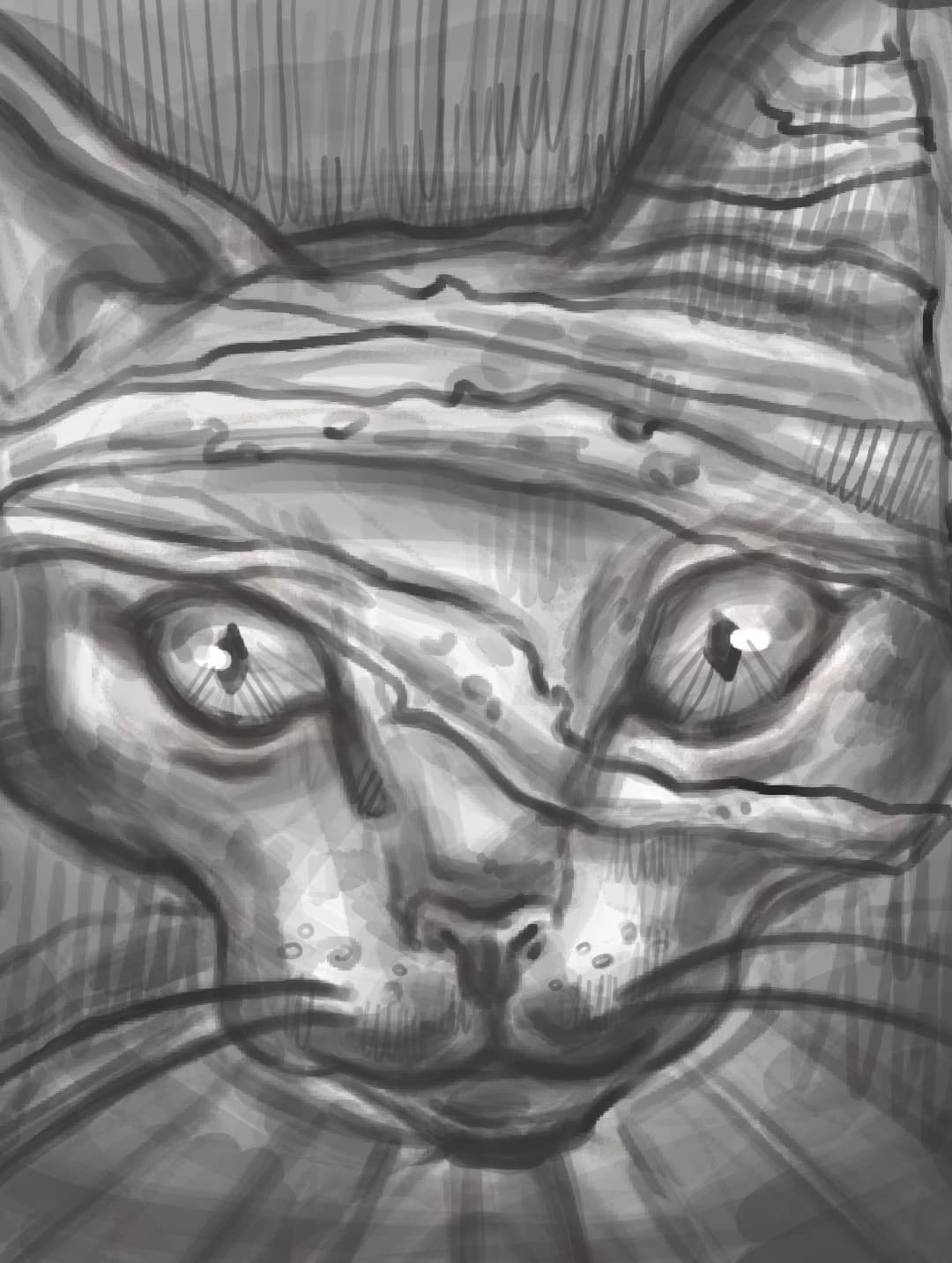 catRA screenshot 2
