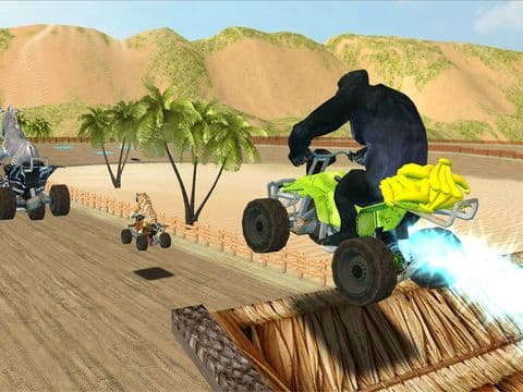 Quad Bikin Pro