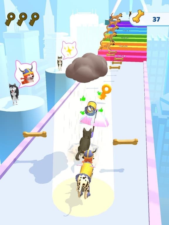 Groomer run 3D