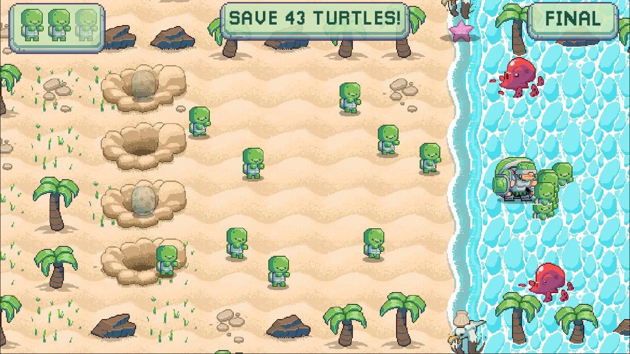 Turtle Daddy