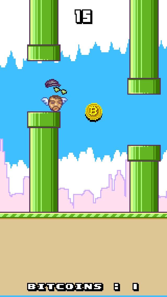 HodappyBird screenshot 3
