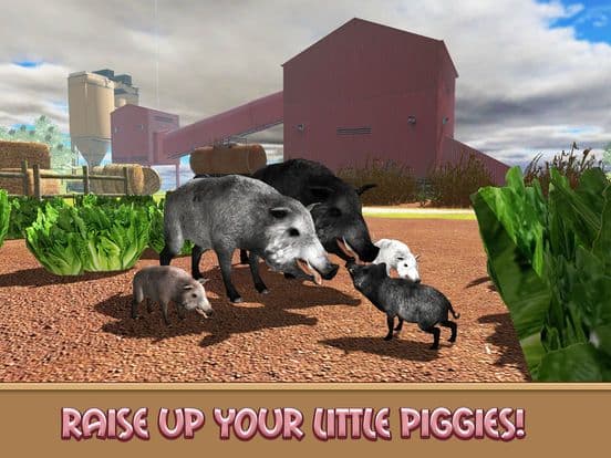 Life of House Pig Simulator screenshot 4