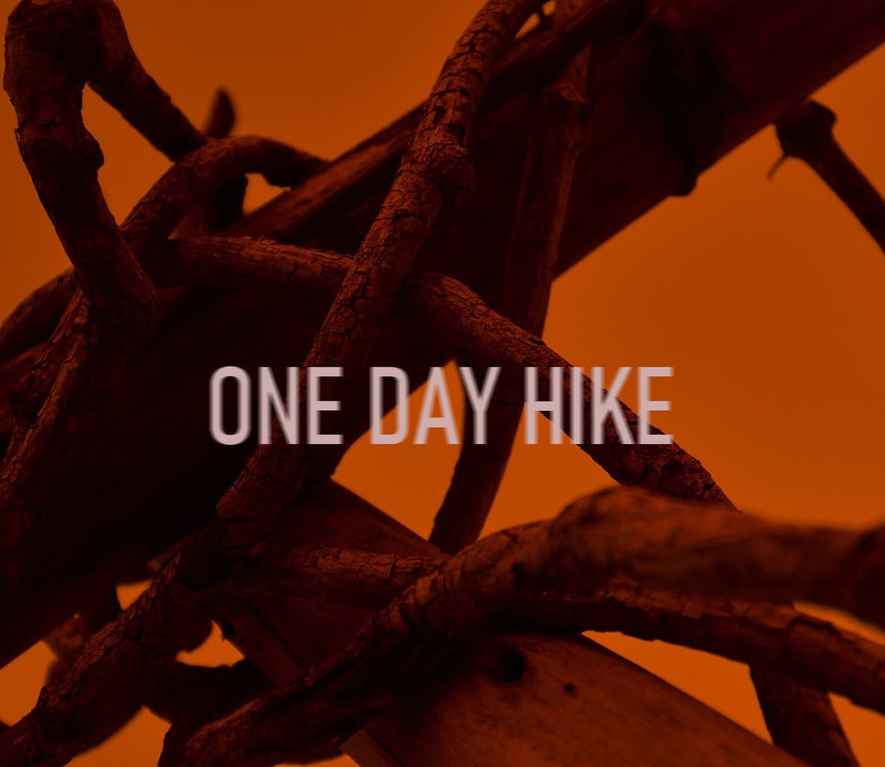ONE DAY HIKE
