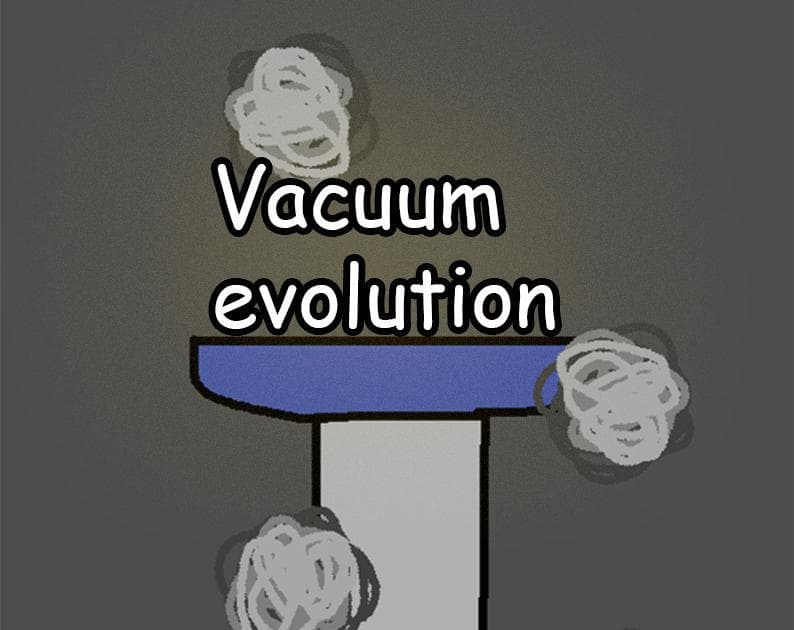 Vacuum evolution