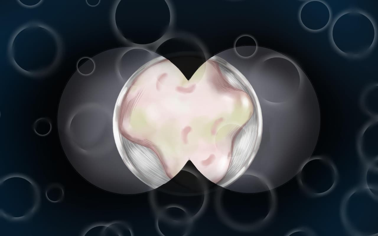 Terrestrial Tardigrades (TeamTardigrade) screenshot 3
