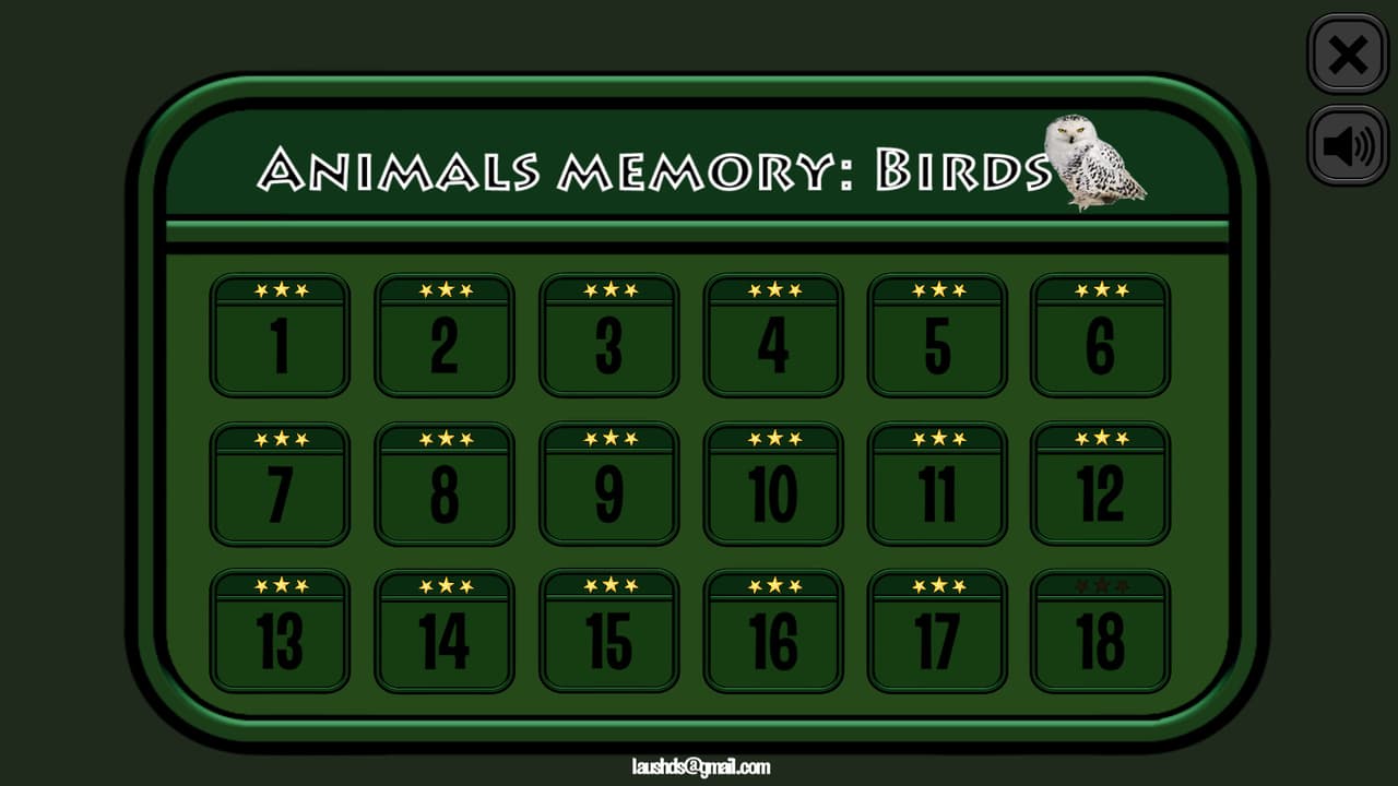 Animals Memory: Birds screenshot 6