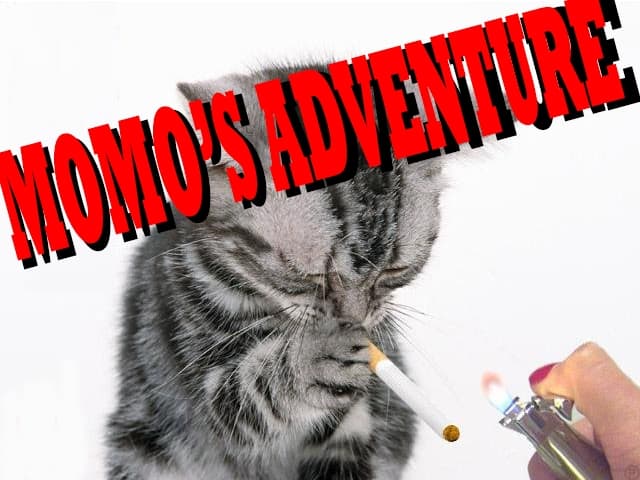 MoMos Adventure (sKiTx_Gaming)
