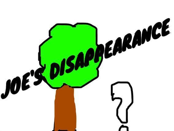 JOES DISAPPEARANCE