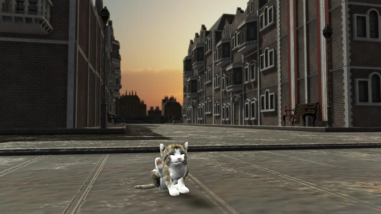 La nuit, tous les chats sont gris screenshot 3