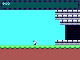 Ninja Cat (Arkia)