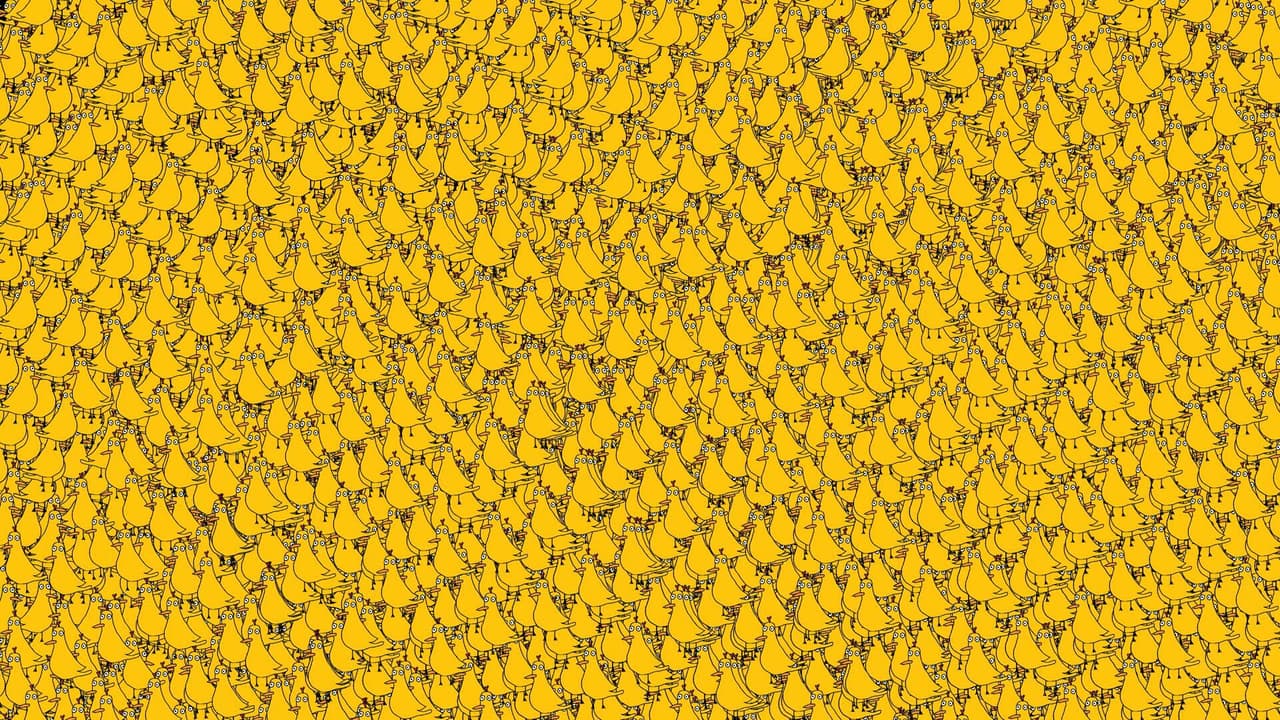 Rubby Bird(School project made in 48hrs)