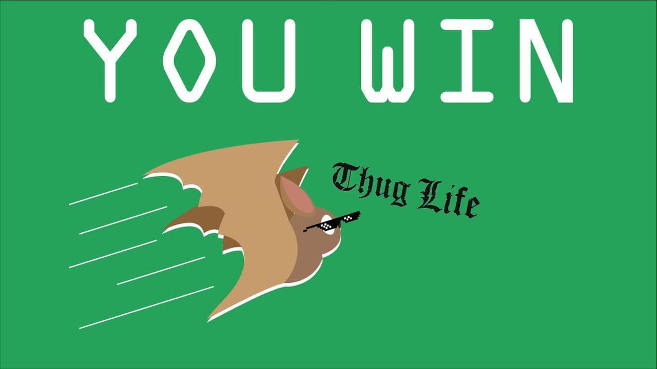 Bobbys The Poor Bat screenshot 2