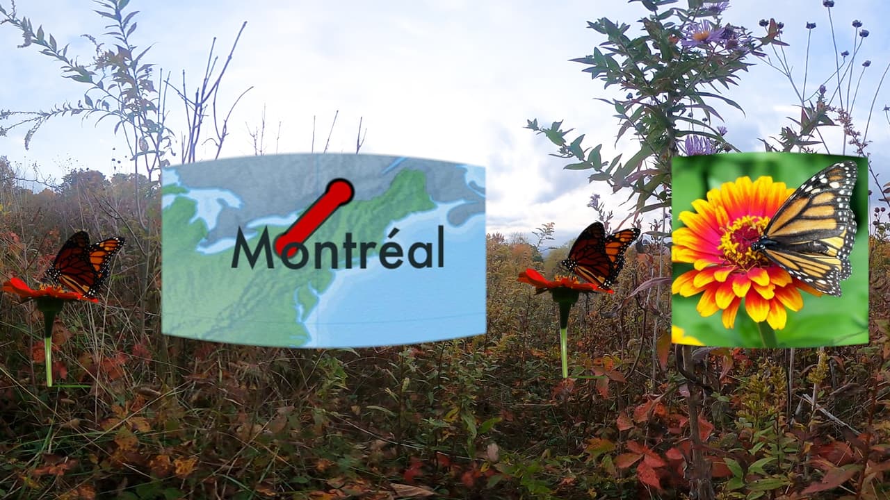 Migration VR screenshot 3