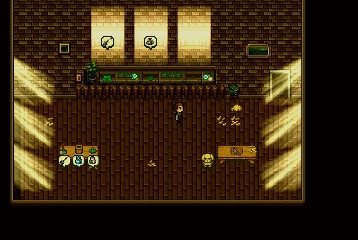 Garden inside
