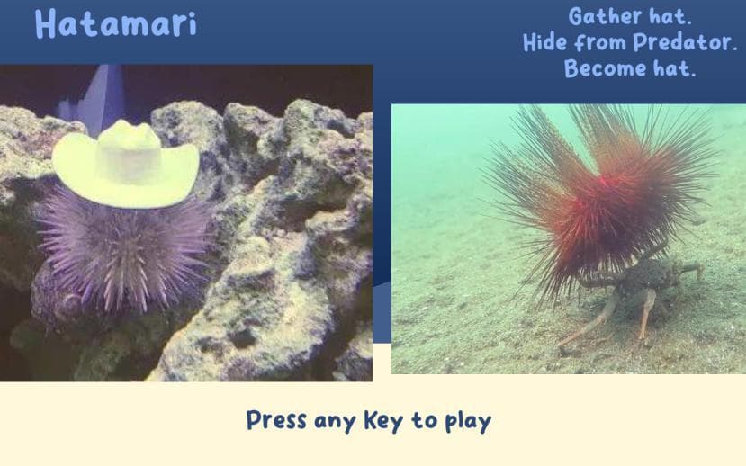 Hatamari screenshot 2