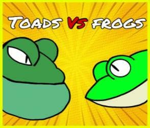 SAPOS VS RANAS
