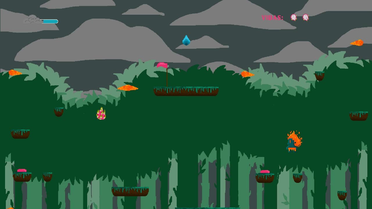 Rainforest (LitTigre)