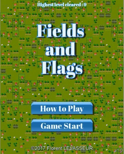 Fields and Flags