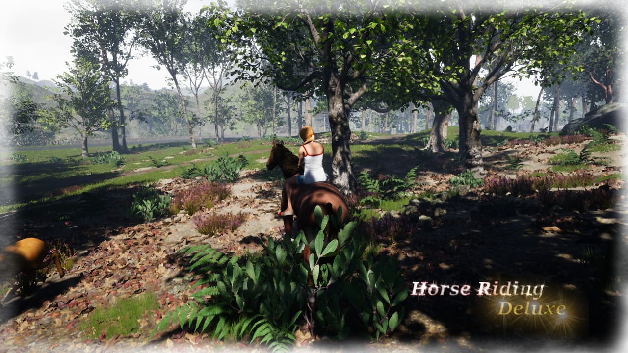 Horse Riding Deluxe