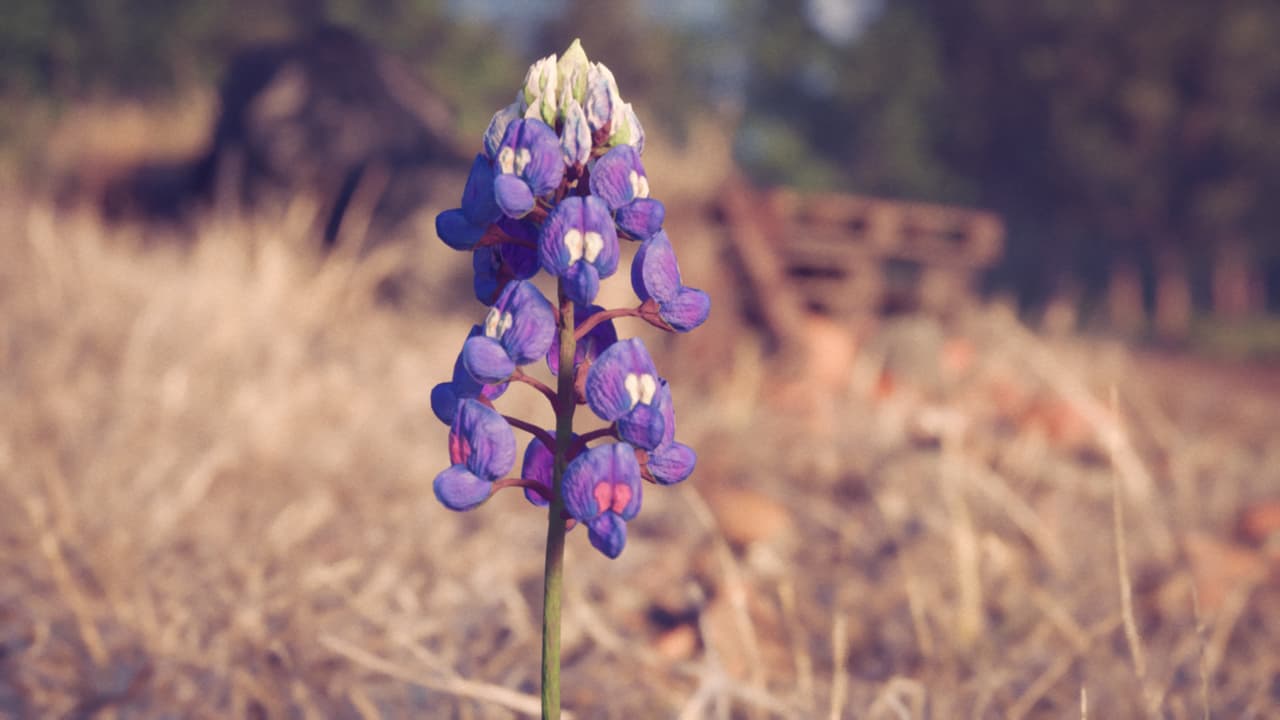Petals (Petals Game) screenshot 2