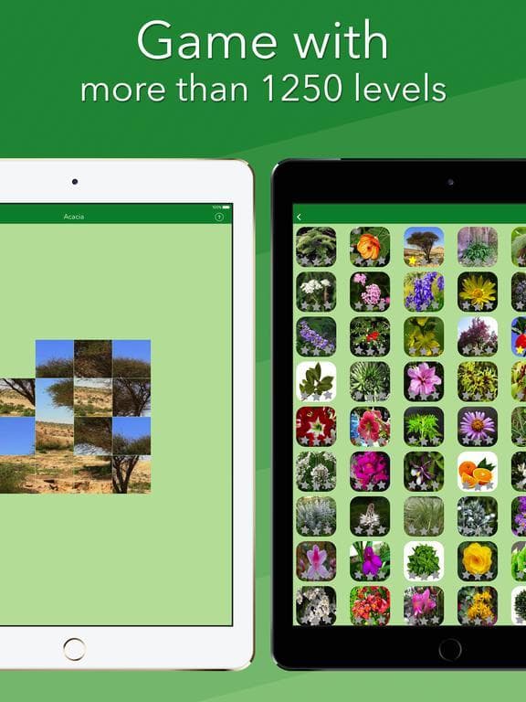 Language of Nature screenshot 3