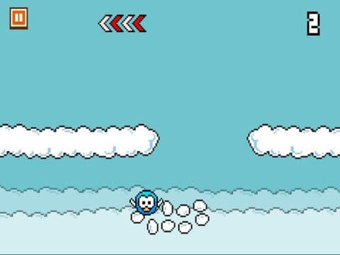 A Fly Birdie