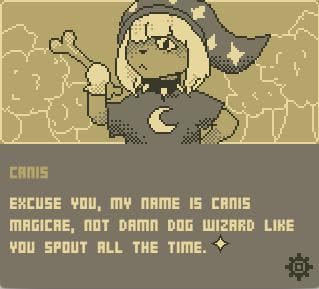 Lion the Cat Wizard