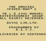 The Amazing Spider-Man 2 (1992) screenshot 2
