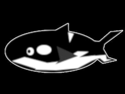 Shark Dash