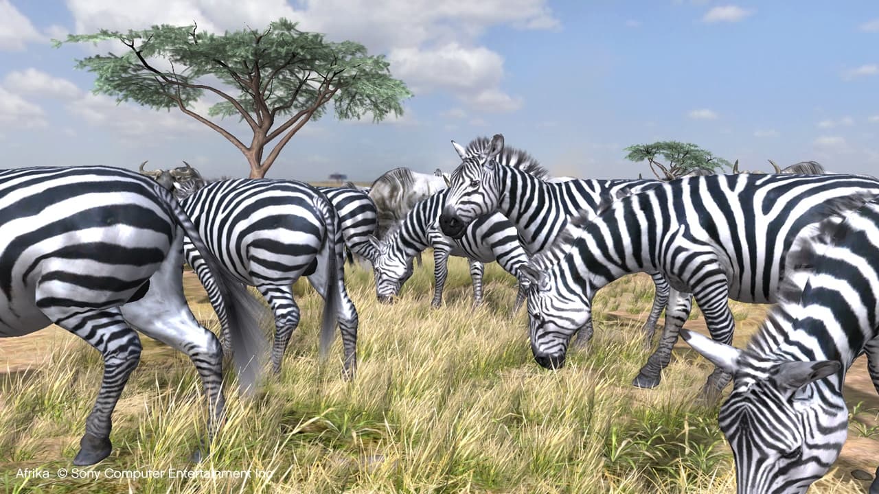 Afrika screenshot 5