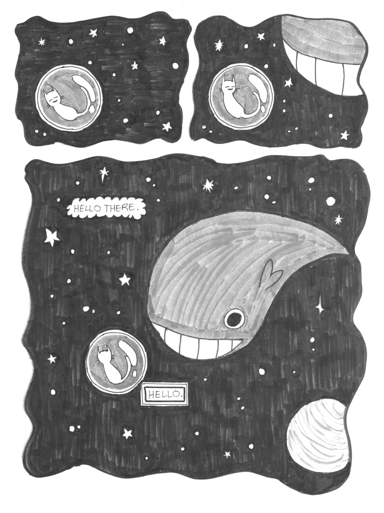 Space Bubble Cat