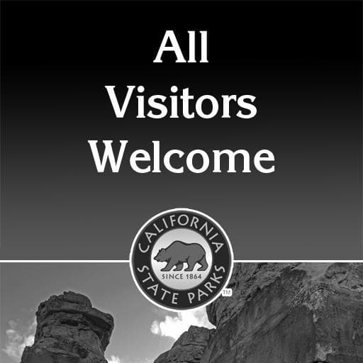 All Visitors Welcome