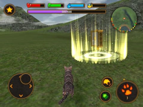 Clan Of Cats