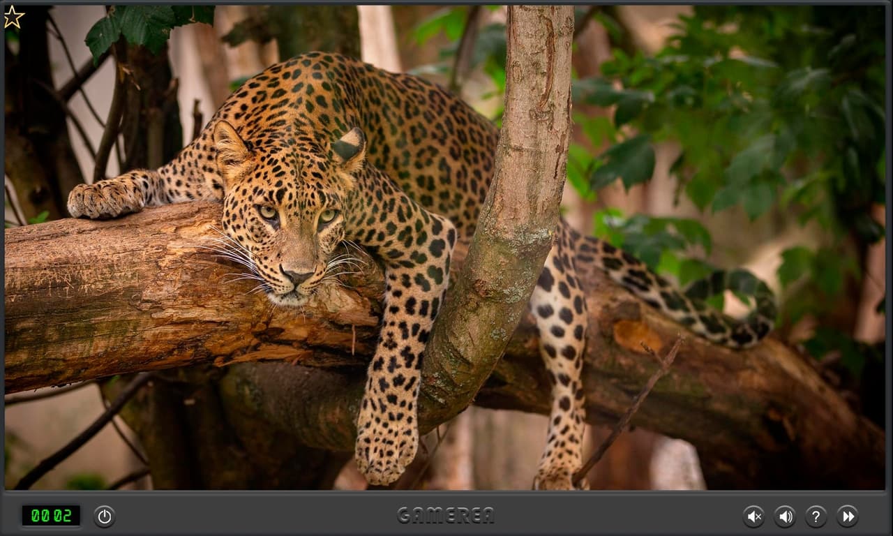 Animals Of Africa screenshot 3