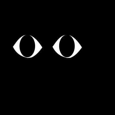 black cat in the dark night