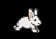 Bunny Tetris
