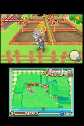 Harvest Moon 3D: A New Beginning screenshot 4