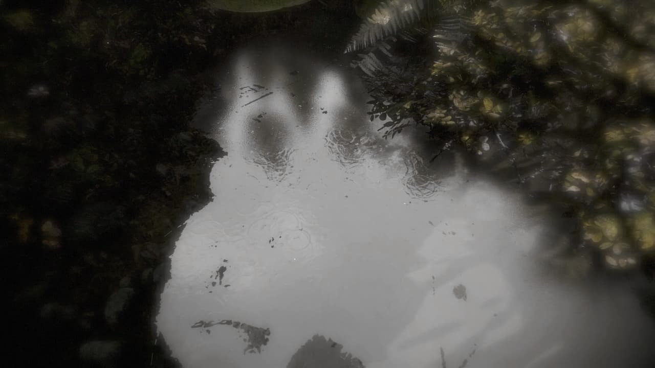 Reflecting Fate screenshot 2