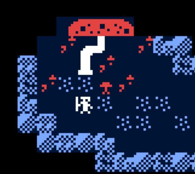The Fungal Grotto
