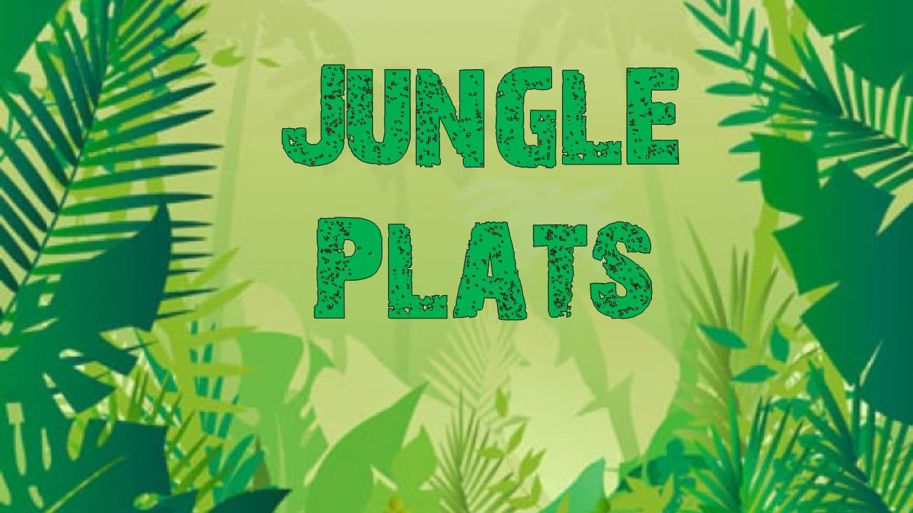 Jungle Plats