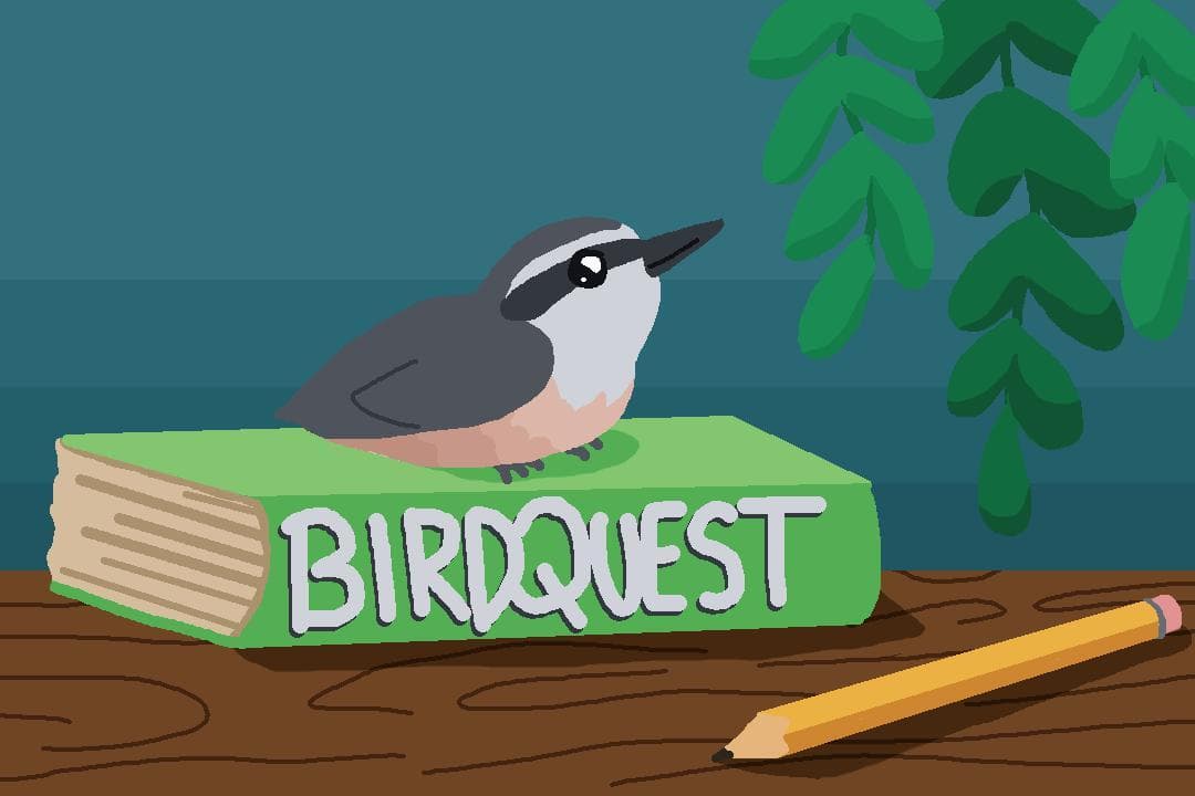 Birdquest: A Birdwatching Simulation Experience