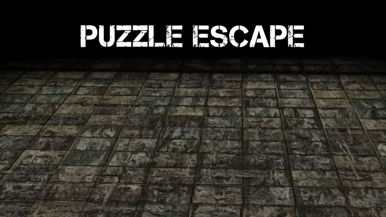 Puzzle Escape (aidanthephoenix, Rynder, Dinowolf10, Ythorin)