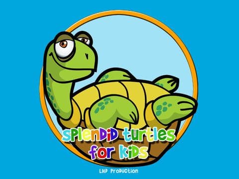 splendid turtles for kids - no ads screenshot 2