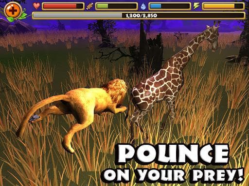 Safari Simulator: Lion