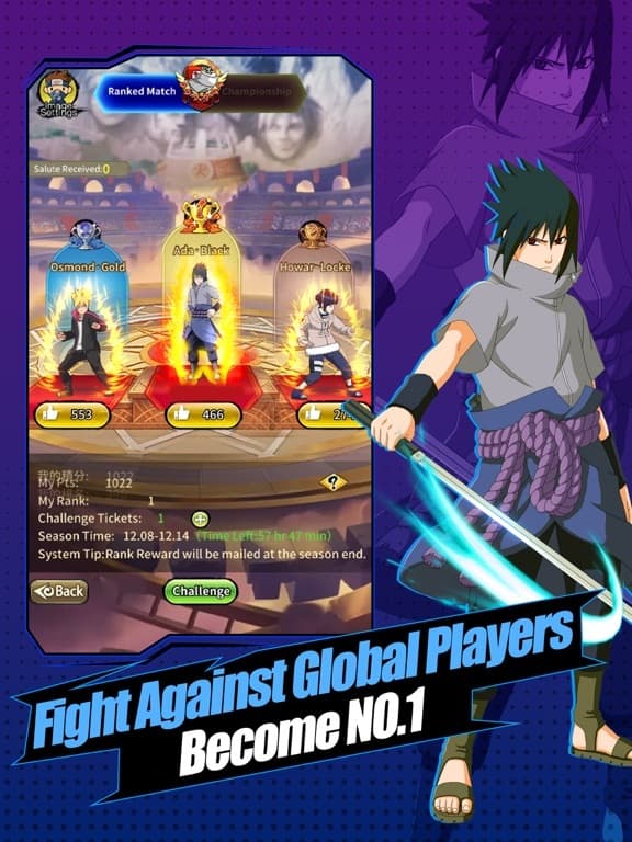 Rise of Ninjia screenshot 4