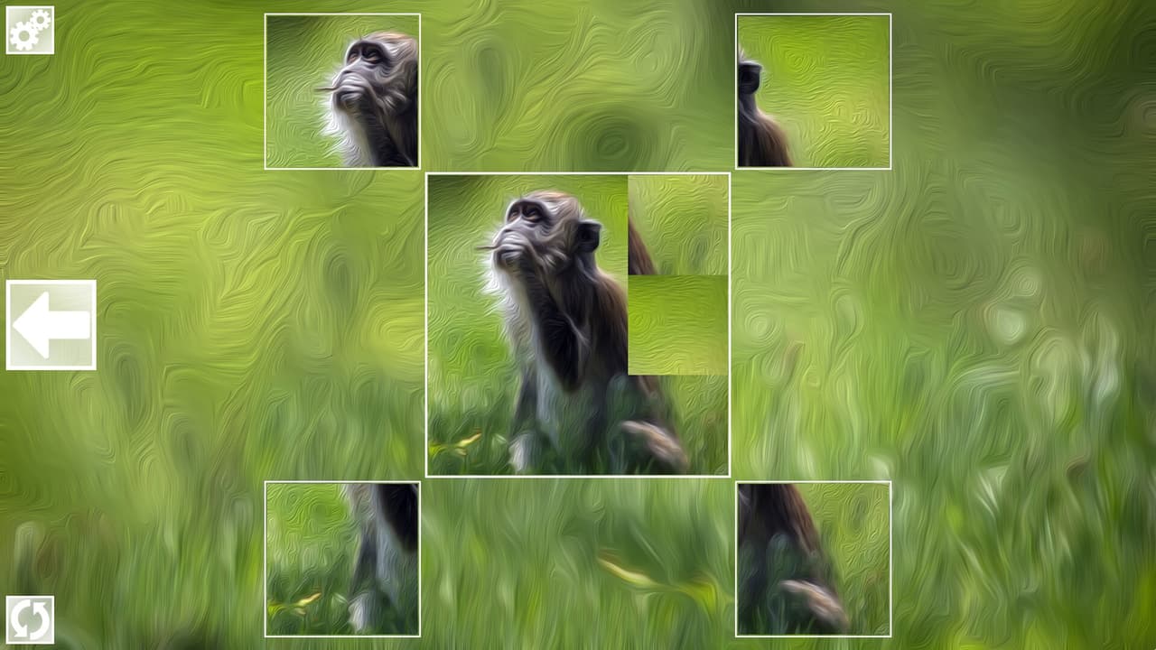 Puzzle Art: Primates screenshot 4