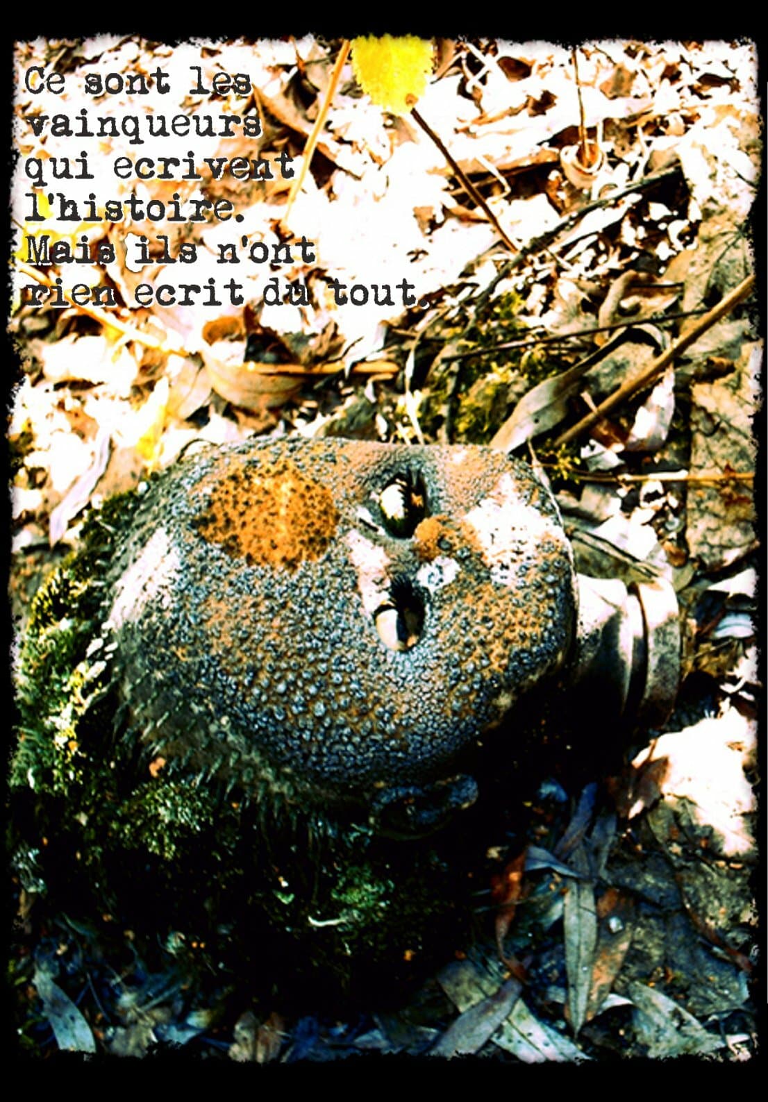 Civilisation screenshot 5