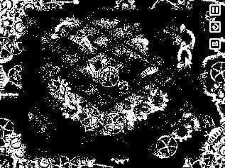 Monochrome (Polycephalus) screenshot 2